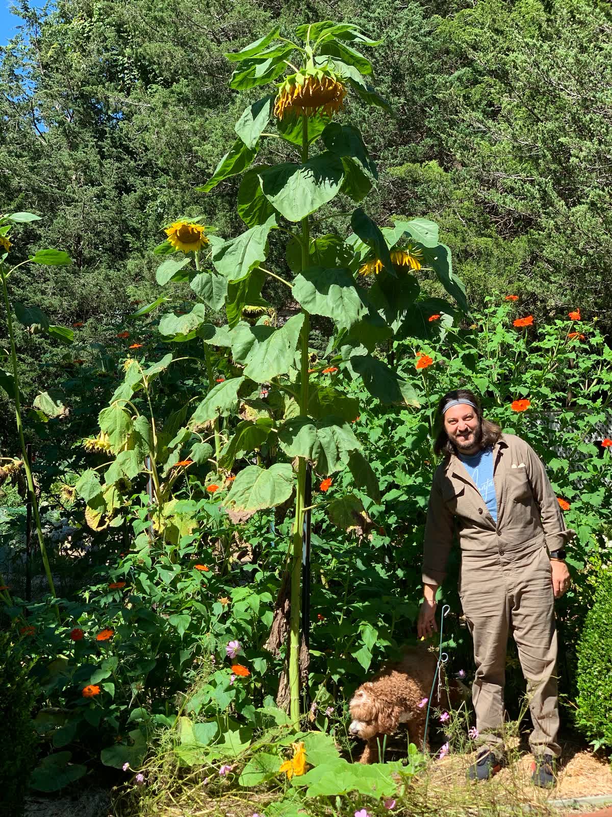 Quiet nature scene reflecting post-exit simplification