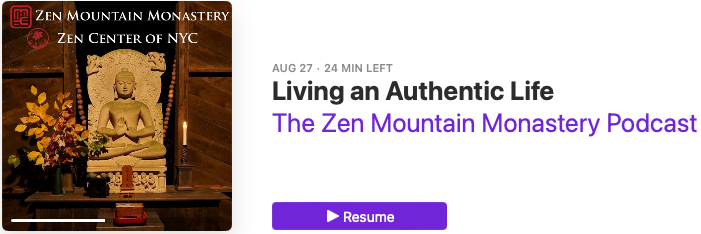 Shugen Roshi podcast reference